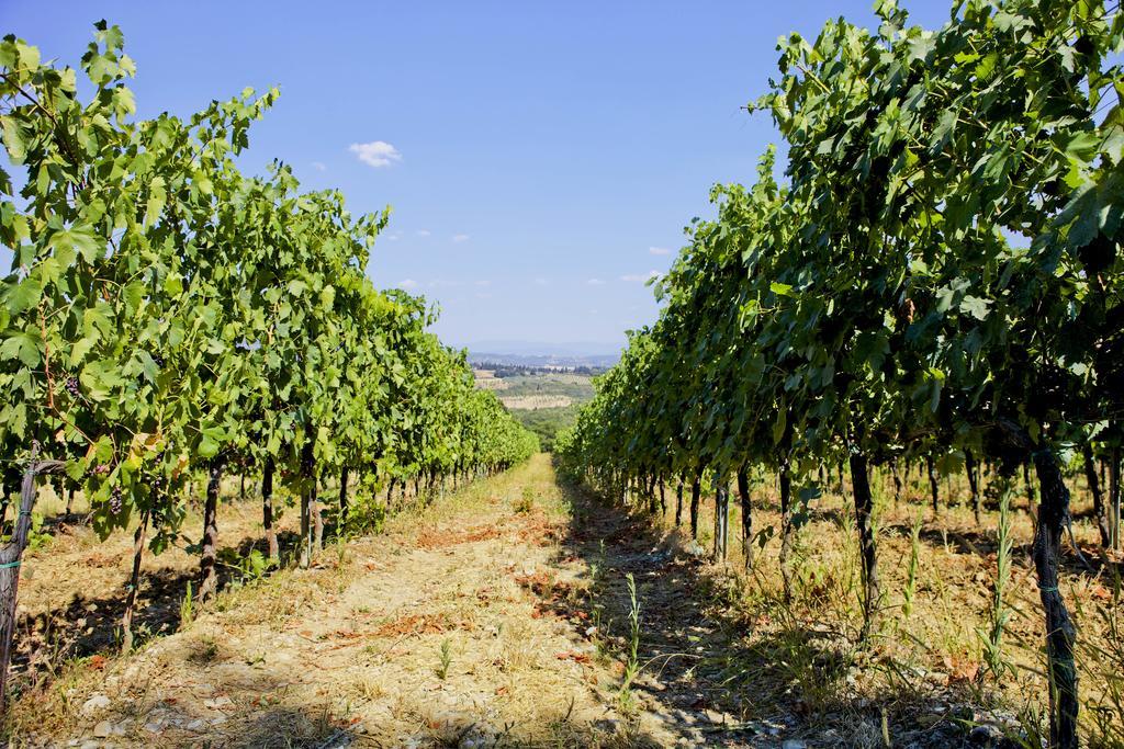 Fattoria Poggio Capponi Villa Montespertoli Buitenkant foto