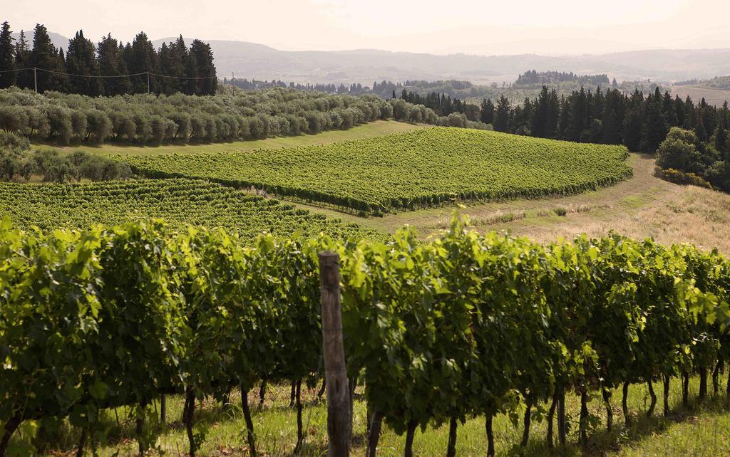 Fattoria Poggio Capponi Villa Montespertoli Buitenkant foto