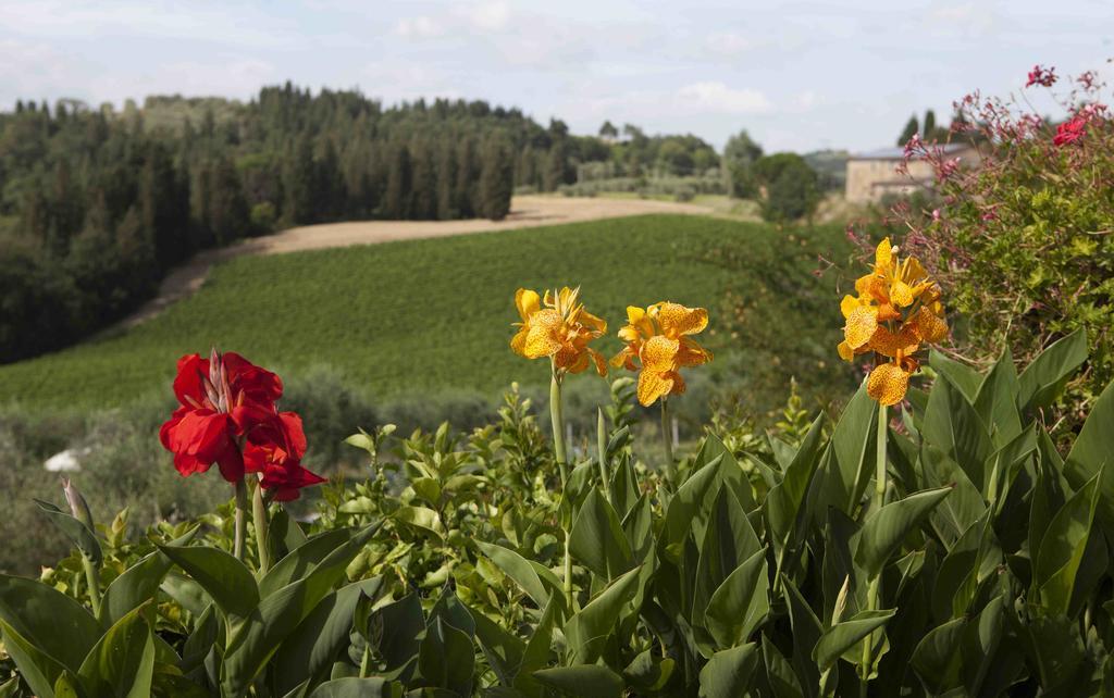 Fattoria Poggio Capponi Villa Montespertoli Buitenkant foto