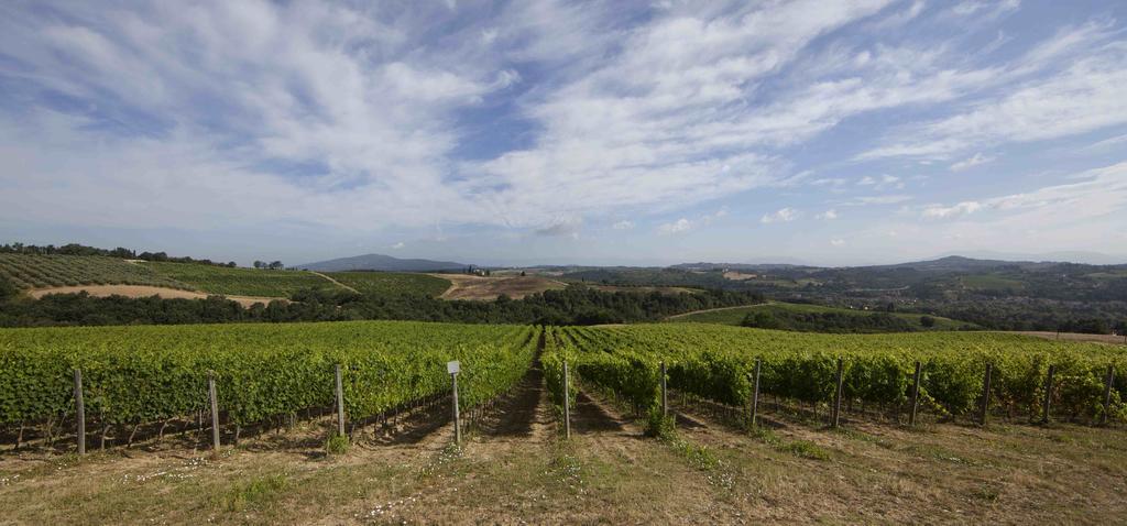 Fattoria Poggio Capponi Villa Montespertoli Buitenkant foto